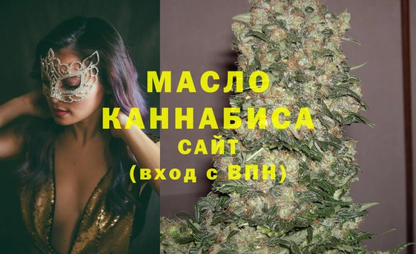 индика Михайлов