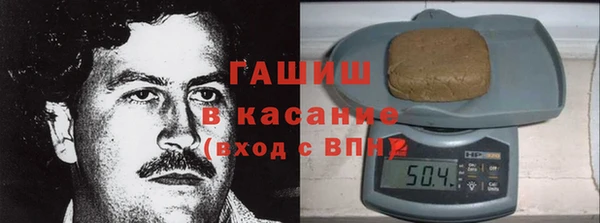 индика Михайлов