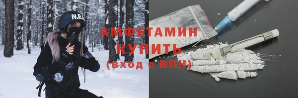 индика Михайлов