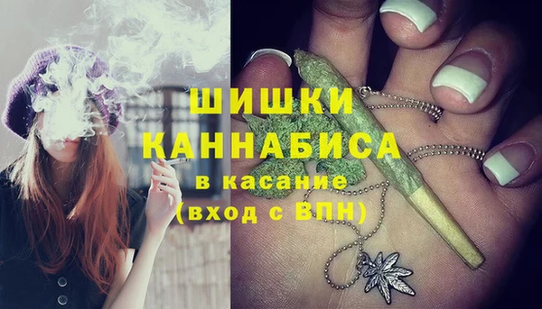 индика Михайлов