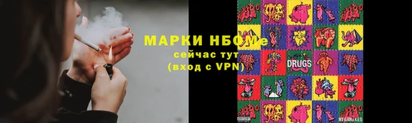 индика Михайлов