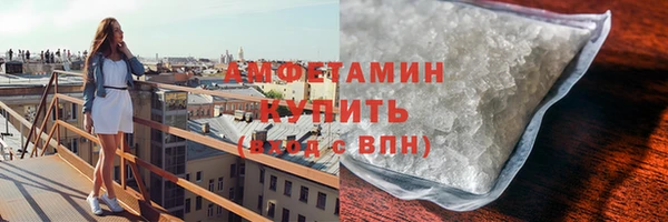 индика Михайлов
