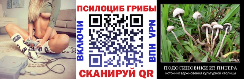Псилоцибиновые грибы прущие грибы  Долинск 